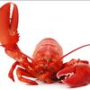 Shoplifters Stealing Lobsters & Rogaine From LI Stores